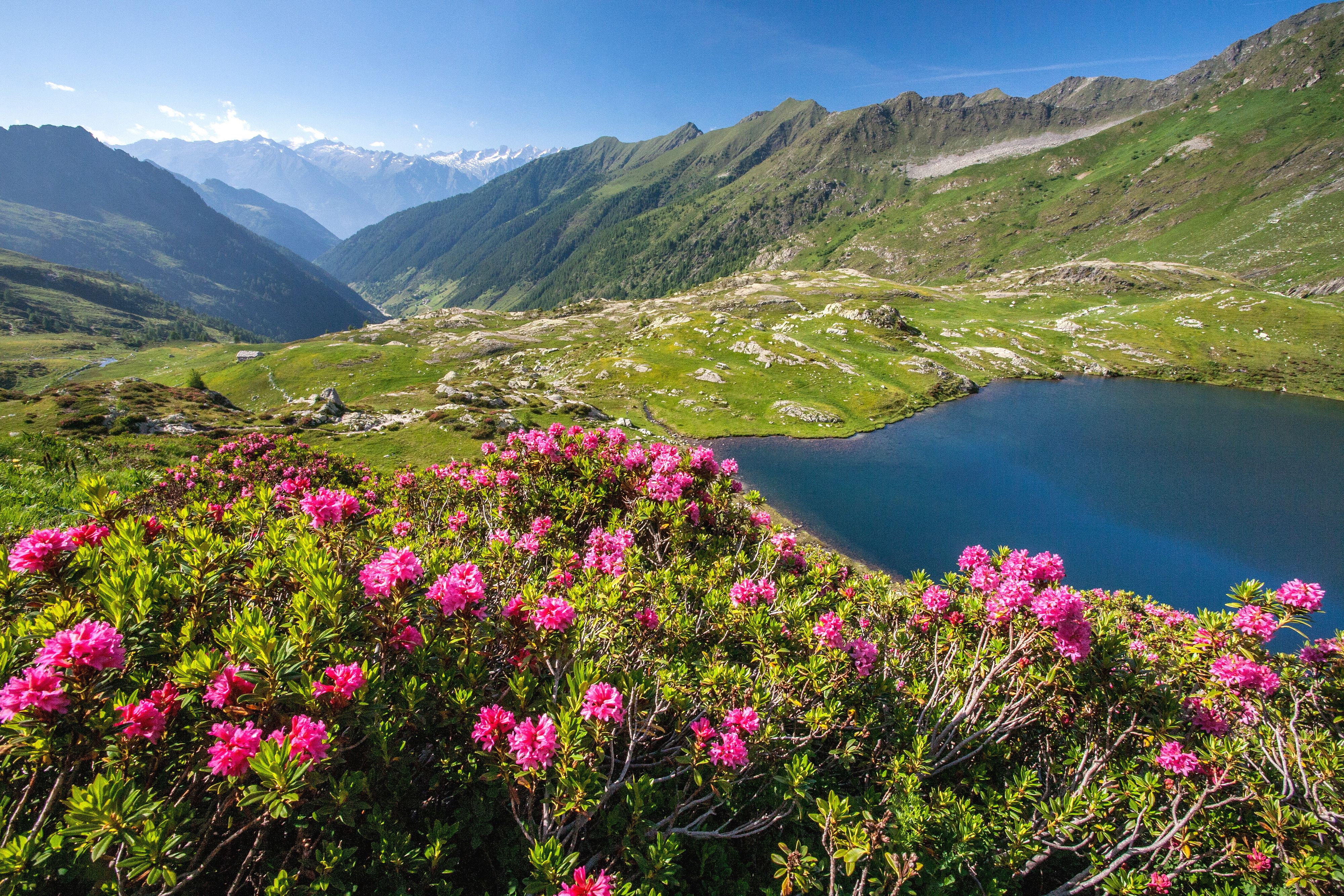 © Ufficio Stampa APF Valtellina