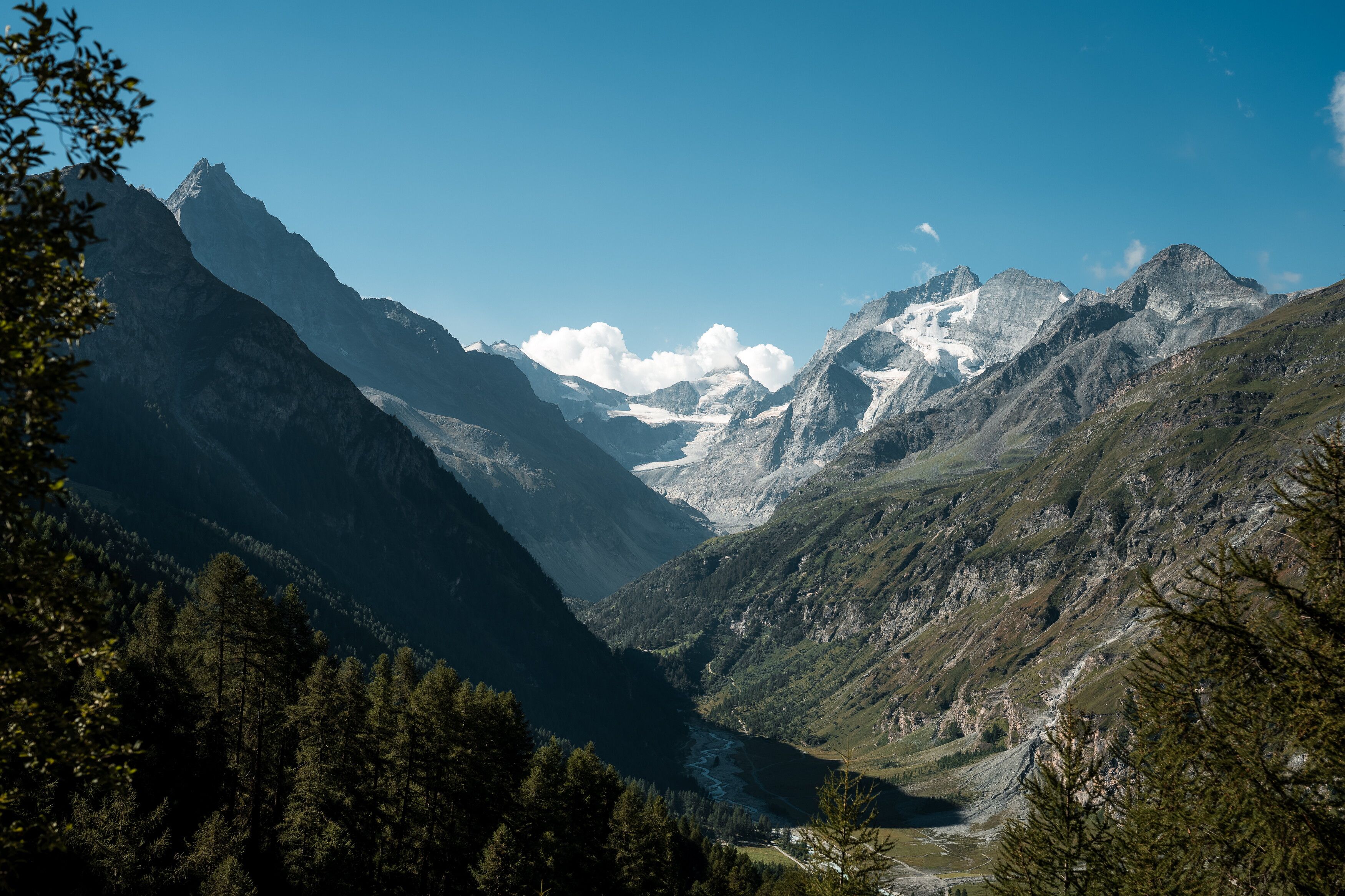 © GTWS/Koastal Forest