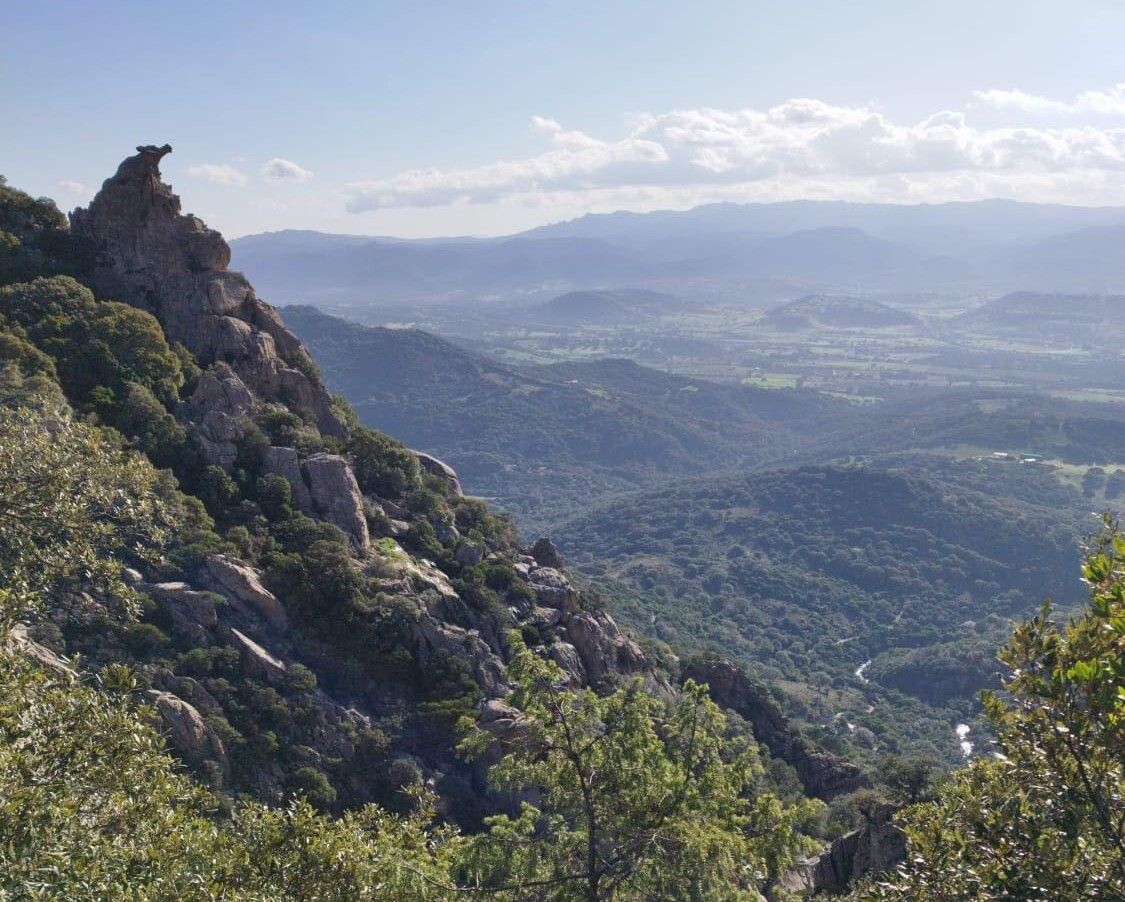 © Limbara Trail Ufficio Stampa