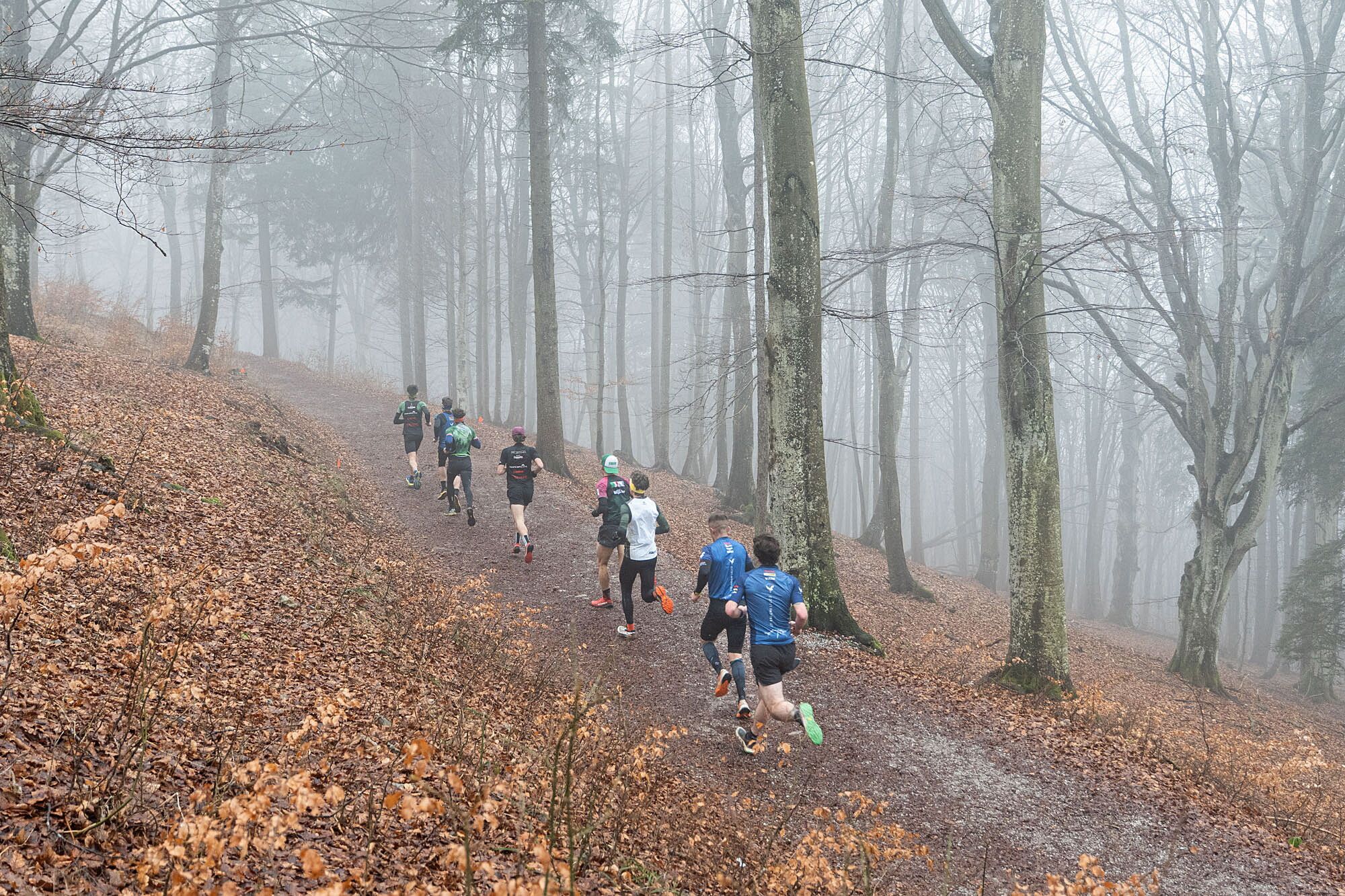 © Giacomo Meneghello