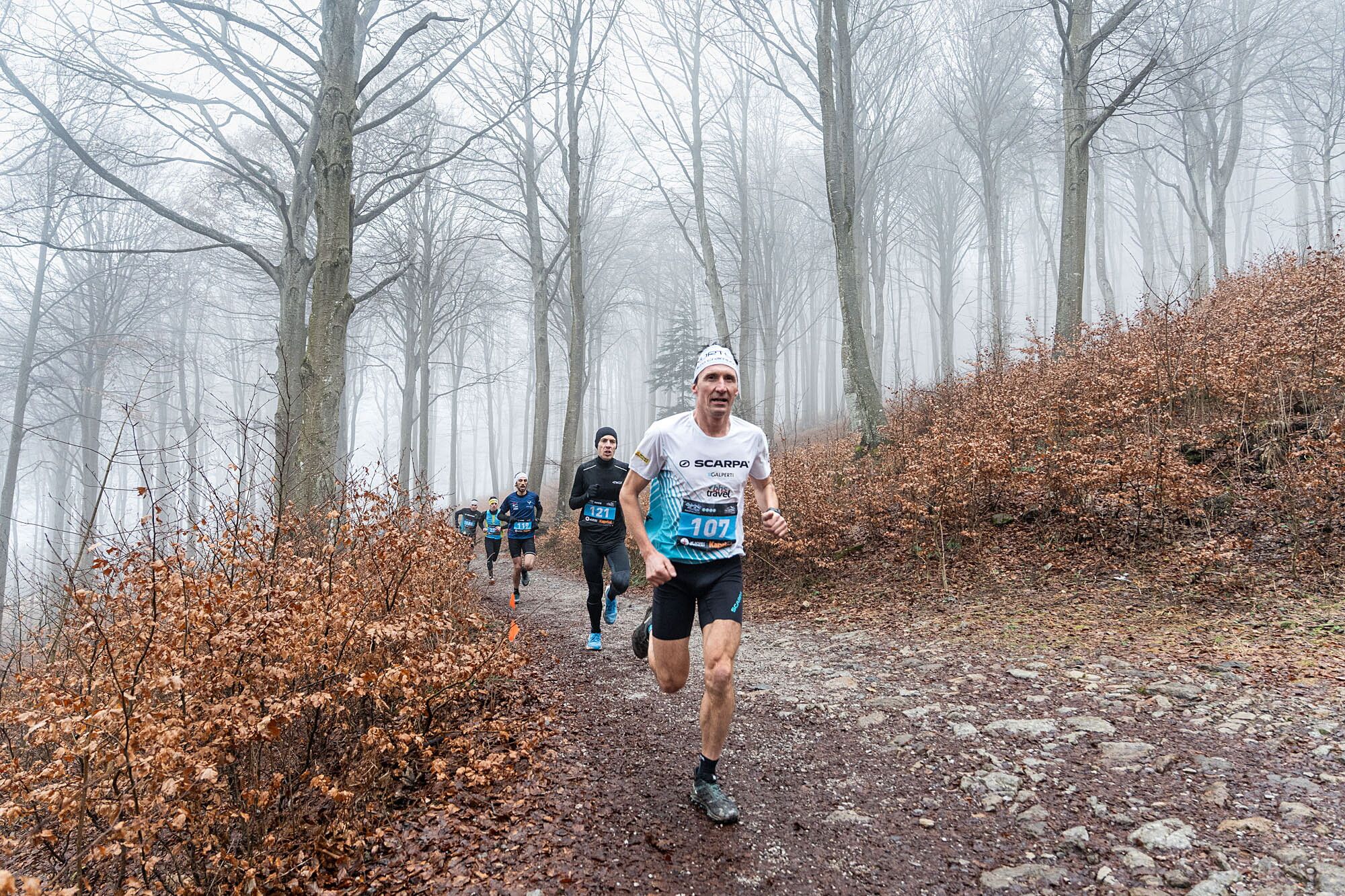 © Giacomo Meneghello