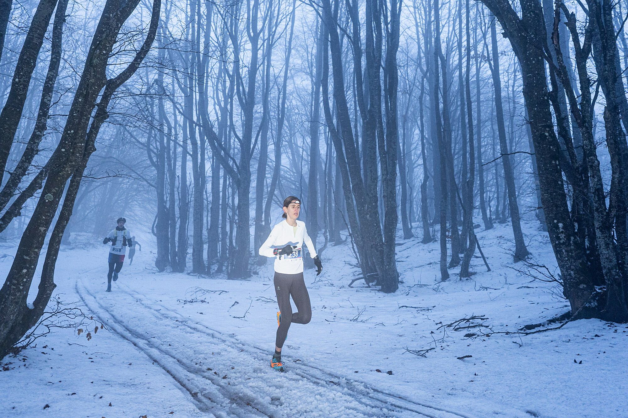 © Giacomo Meneghello