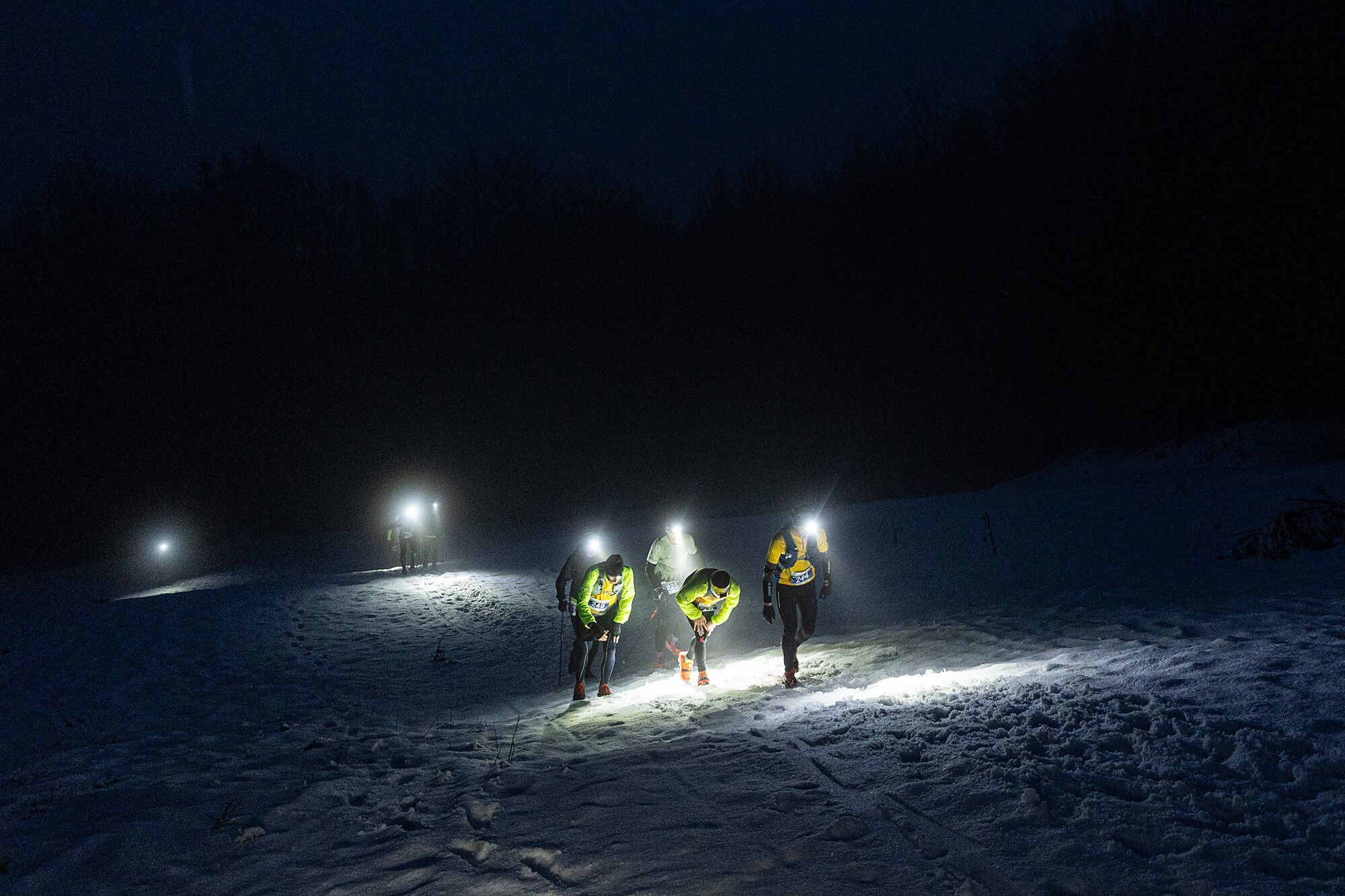 © Giacomo Meneghello