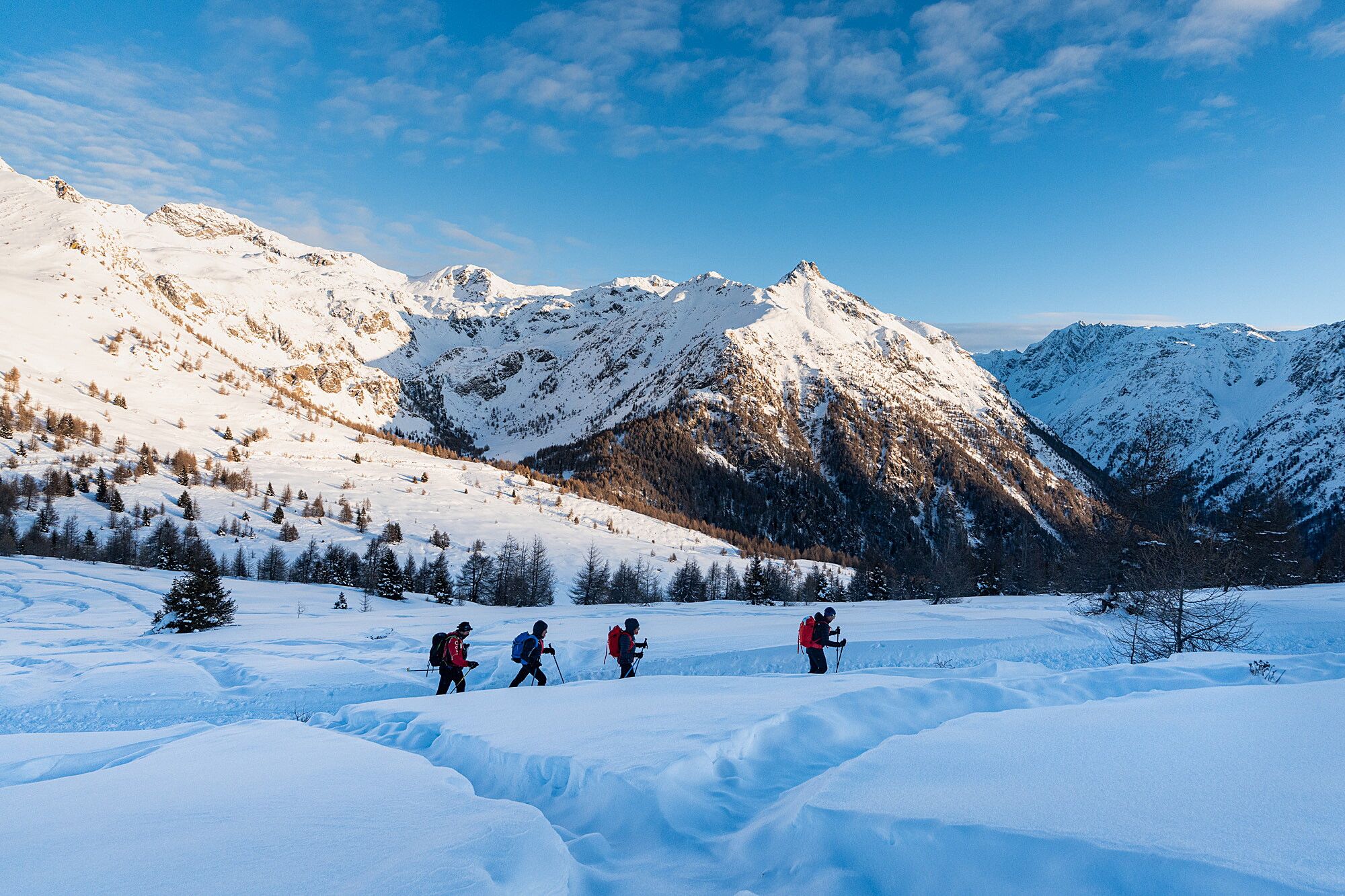 © Giacomo Meneghello