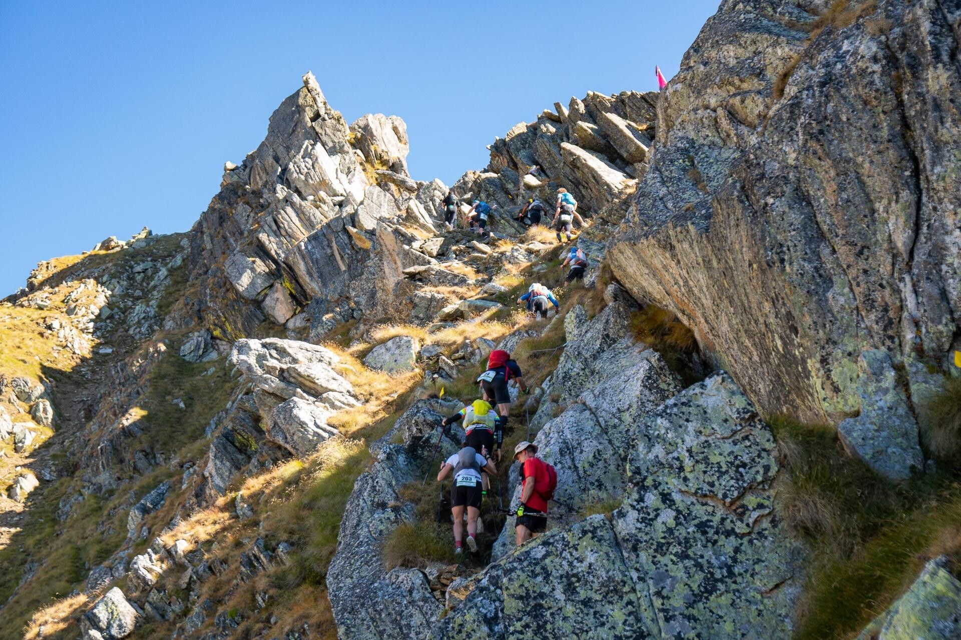 © Giacomo Meneghello