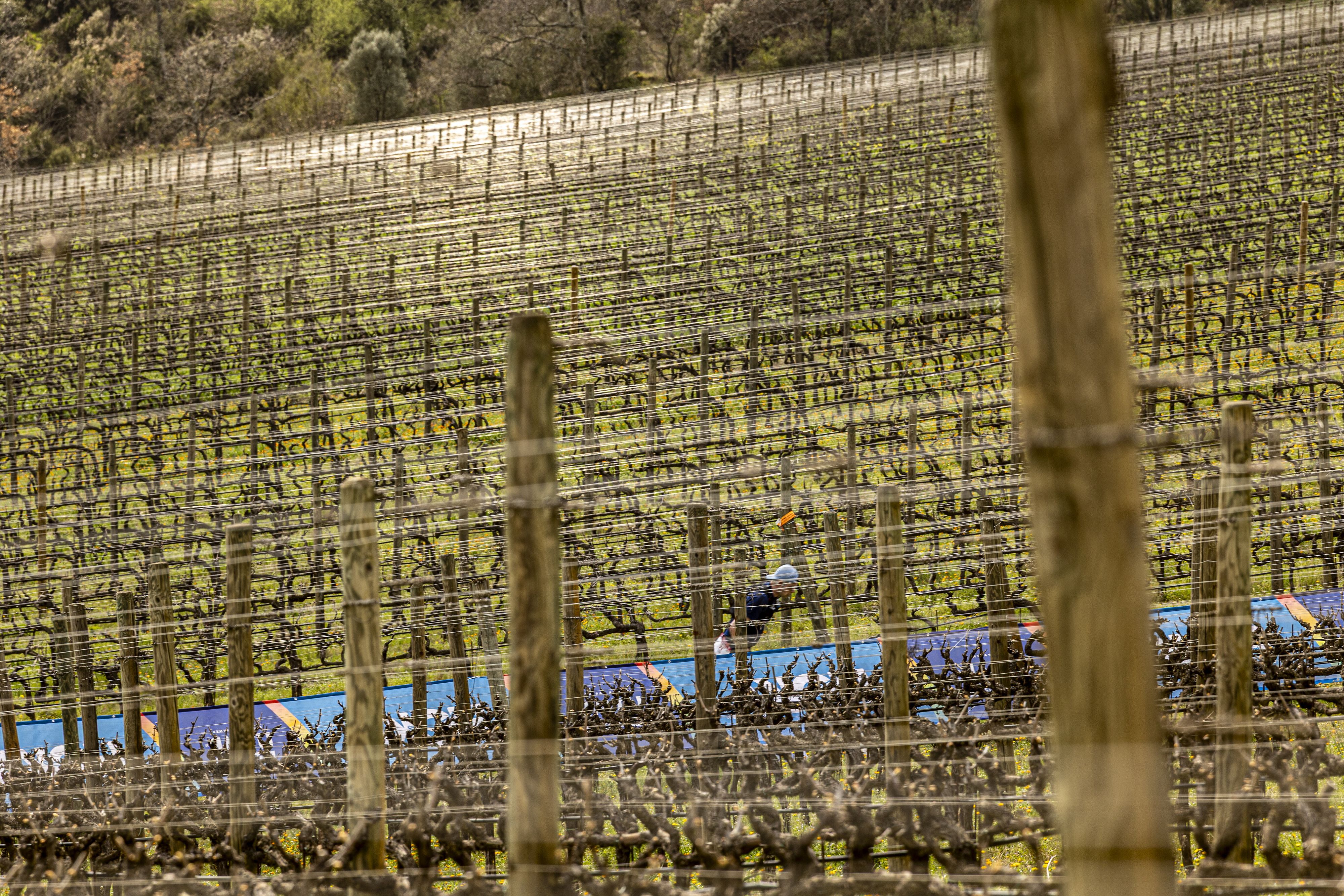 © Chianti Ultra Trail by UTMB Press Office