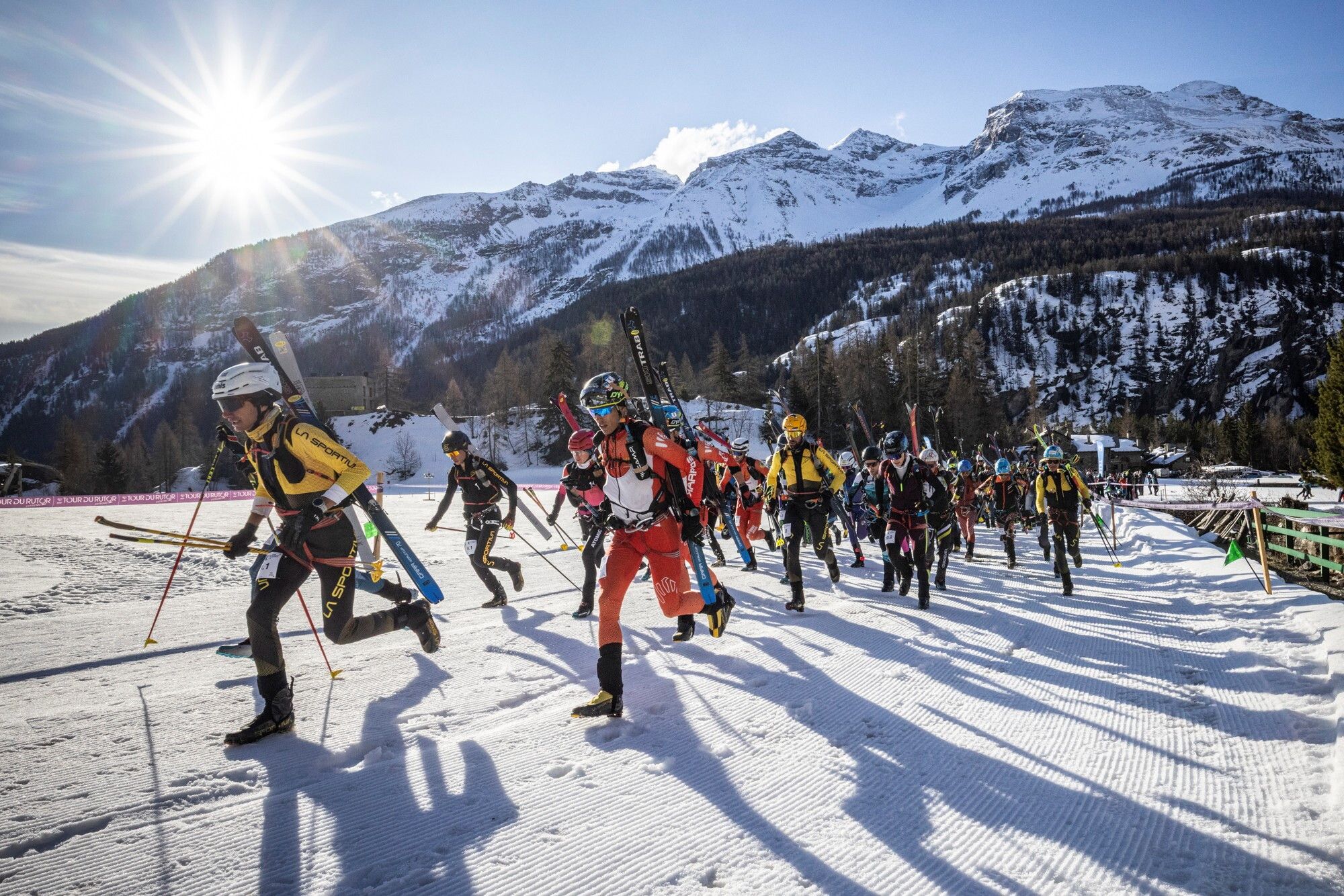 © Francesco Bergamaschi