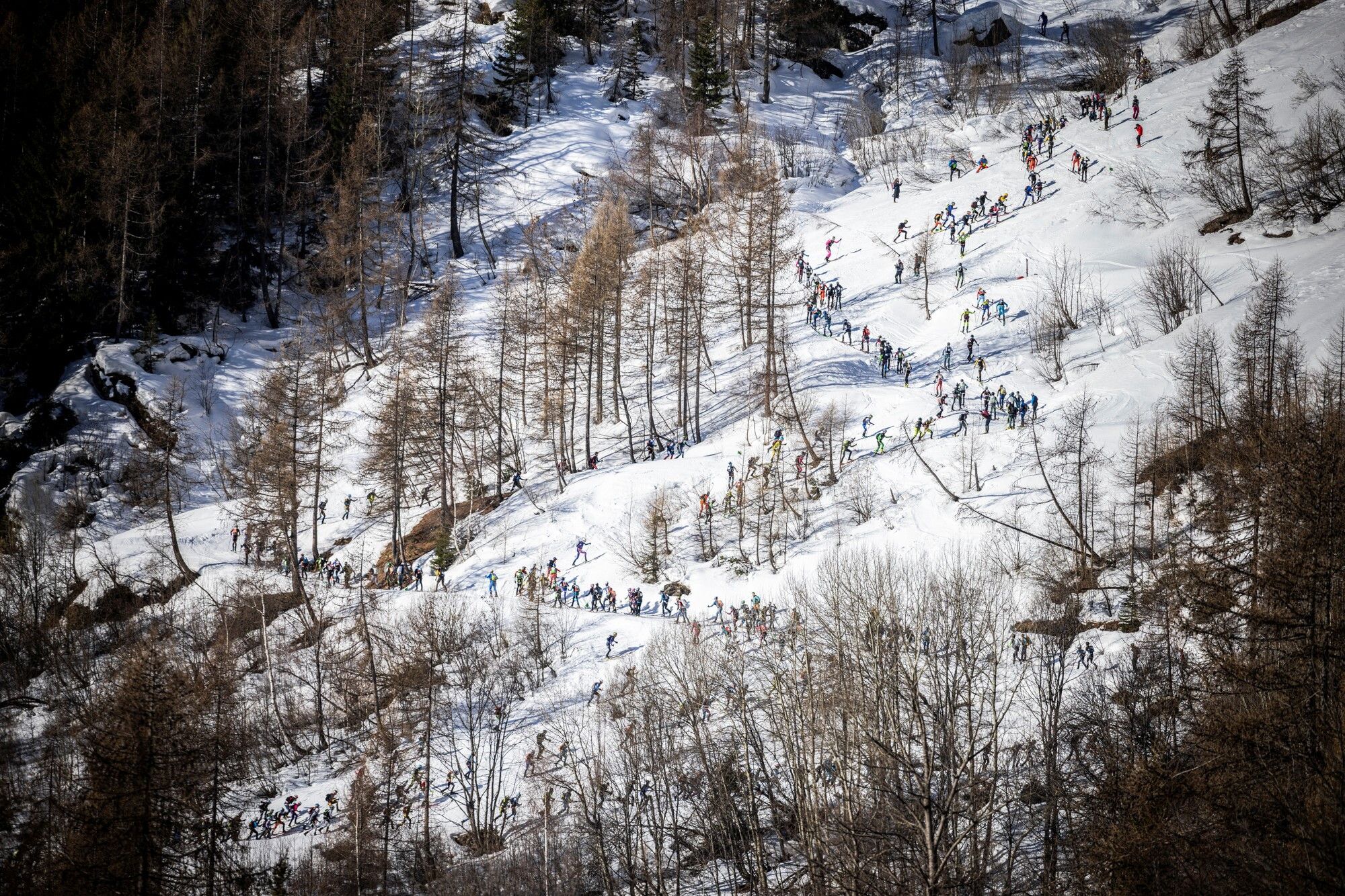 © Francesco Bergamaschi