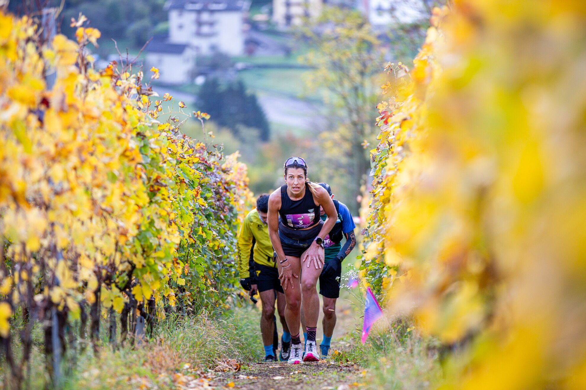 © Valle dei Segni Wine Trail Ufficio Stampa