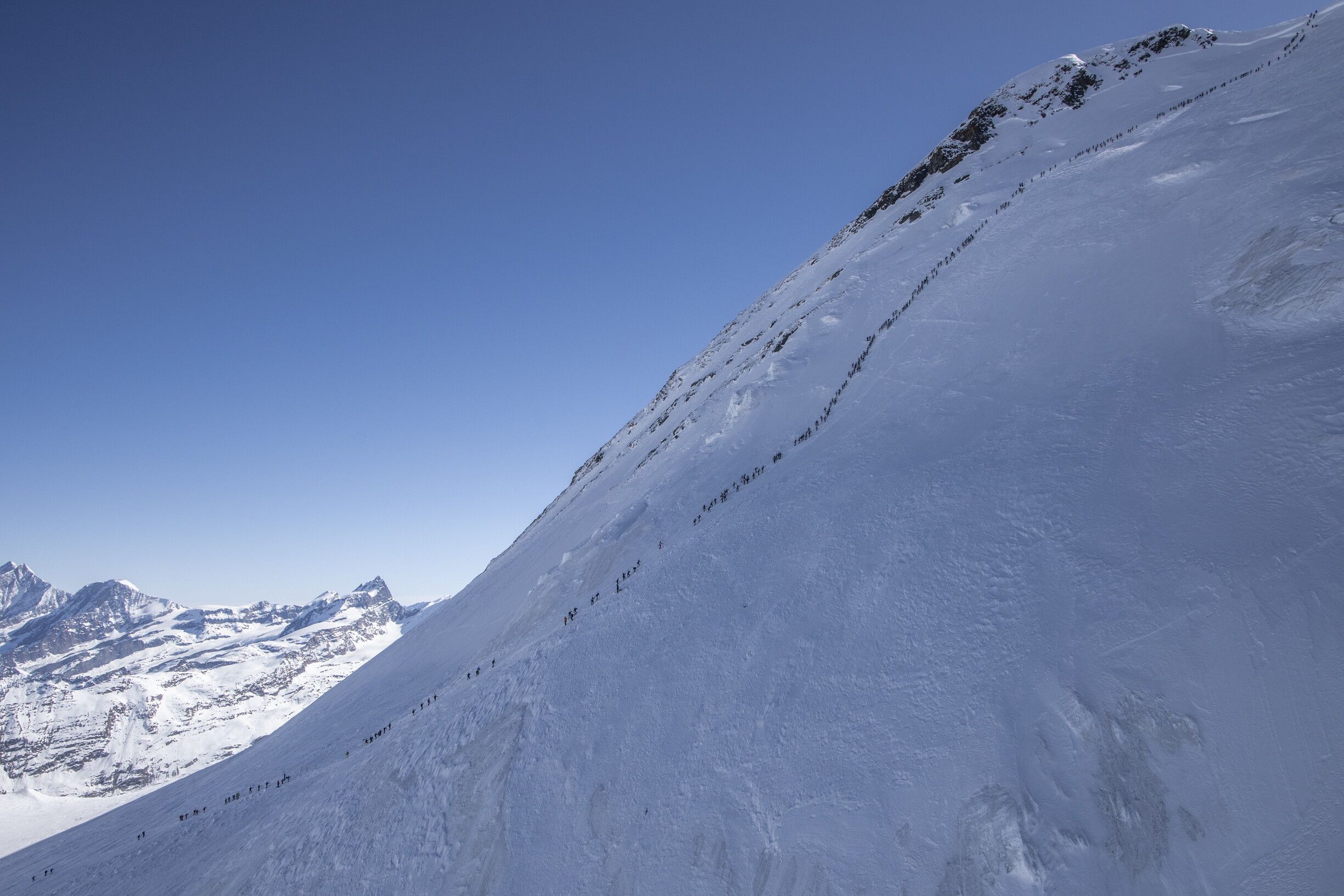 © Riccardo Selvatico