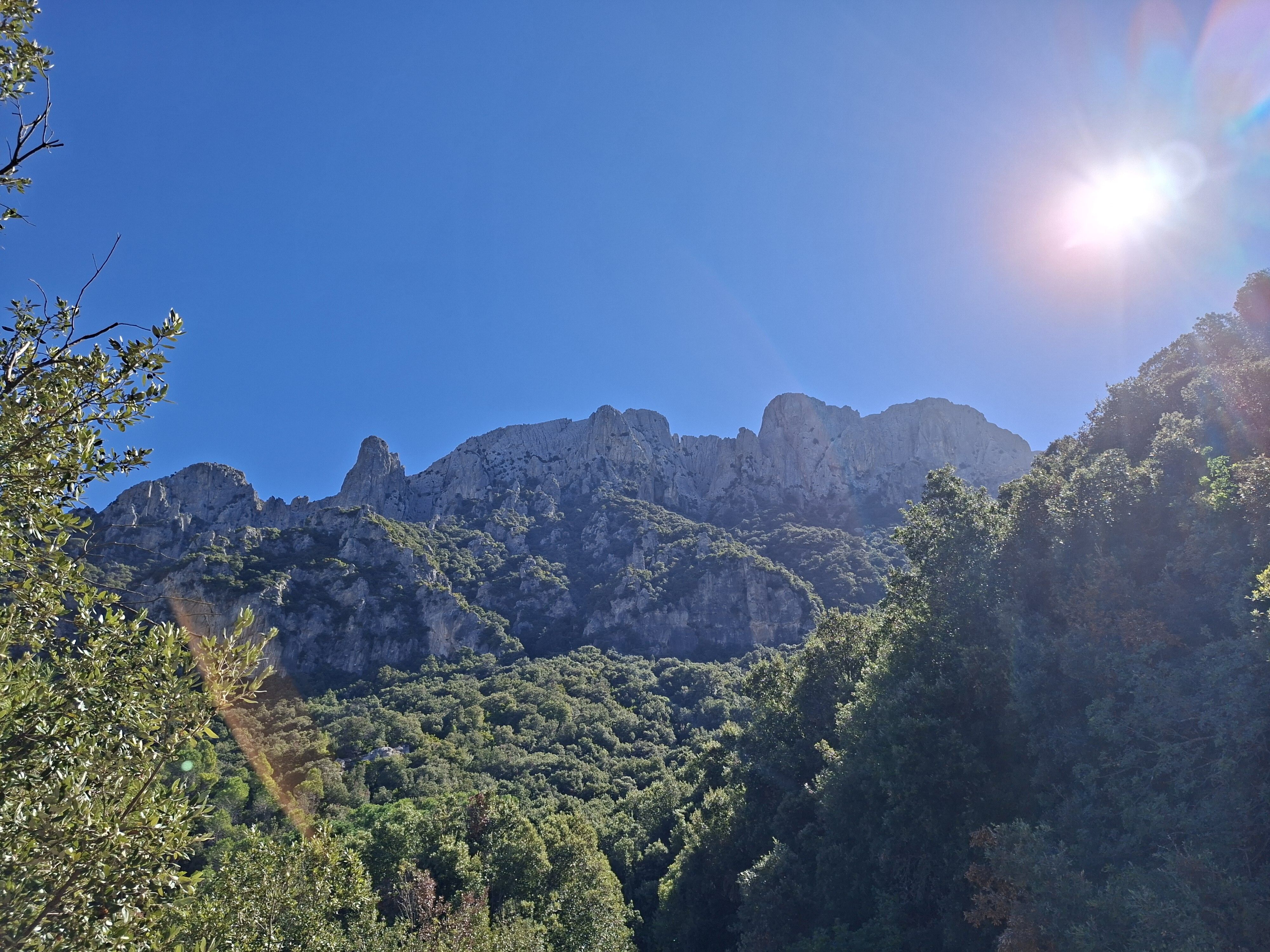 © Stefano Giovanni Gatti