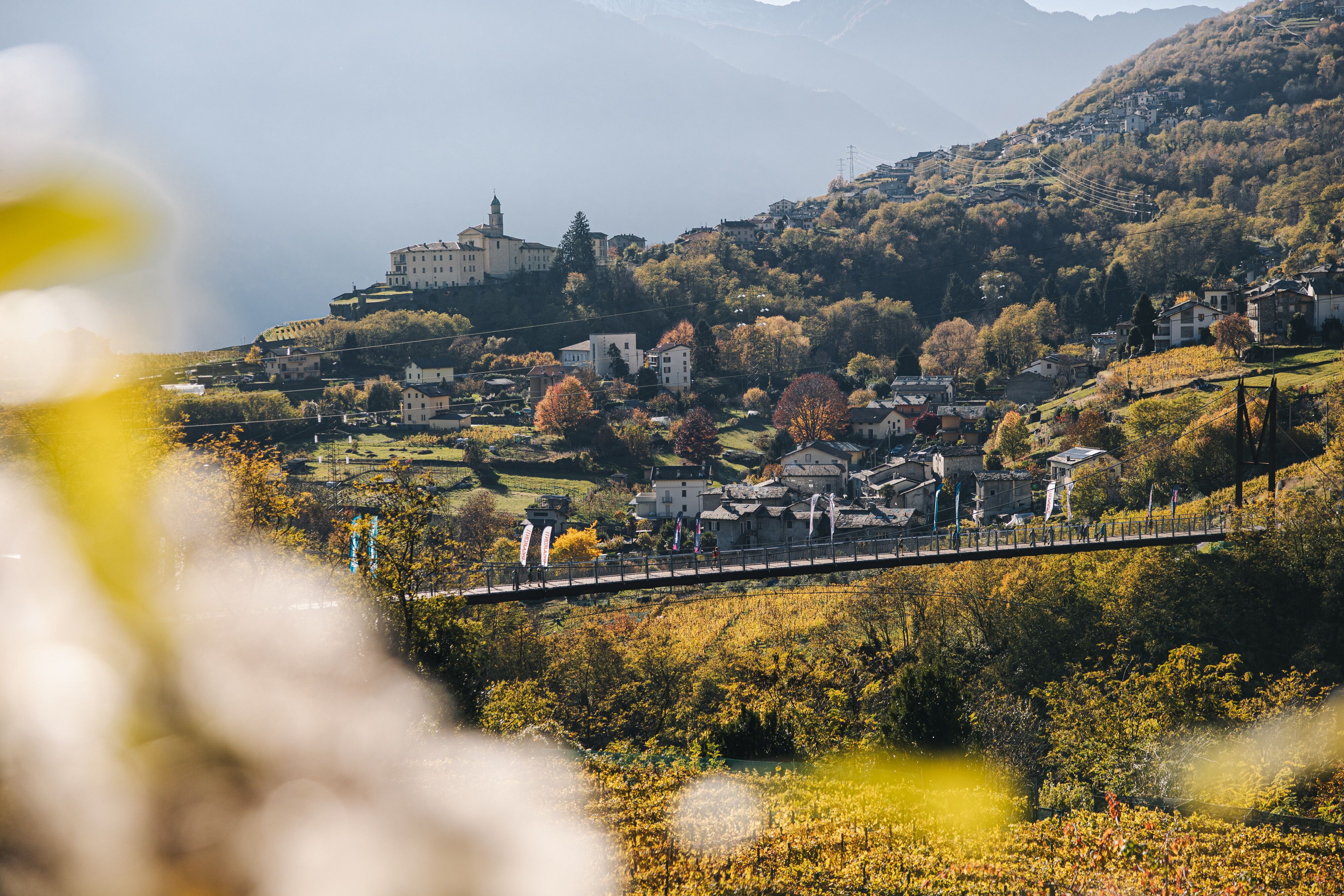 © Luca Calcagno