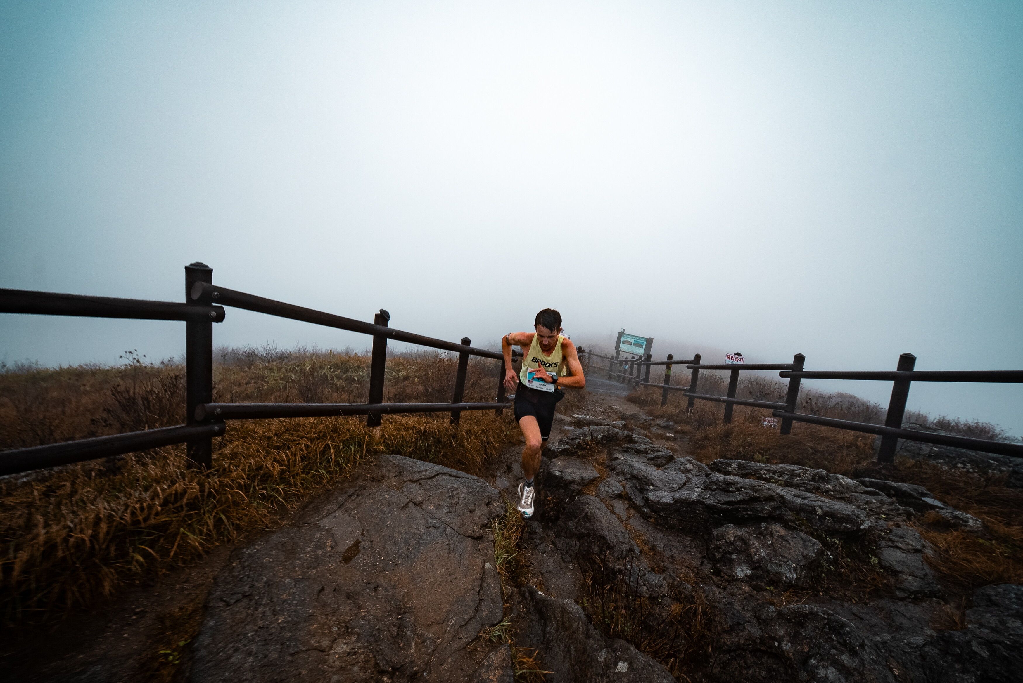 © GTWS/Koastal Forest