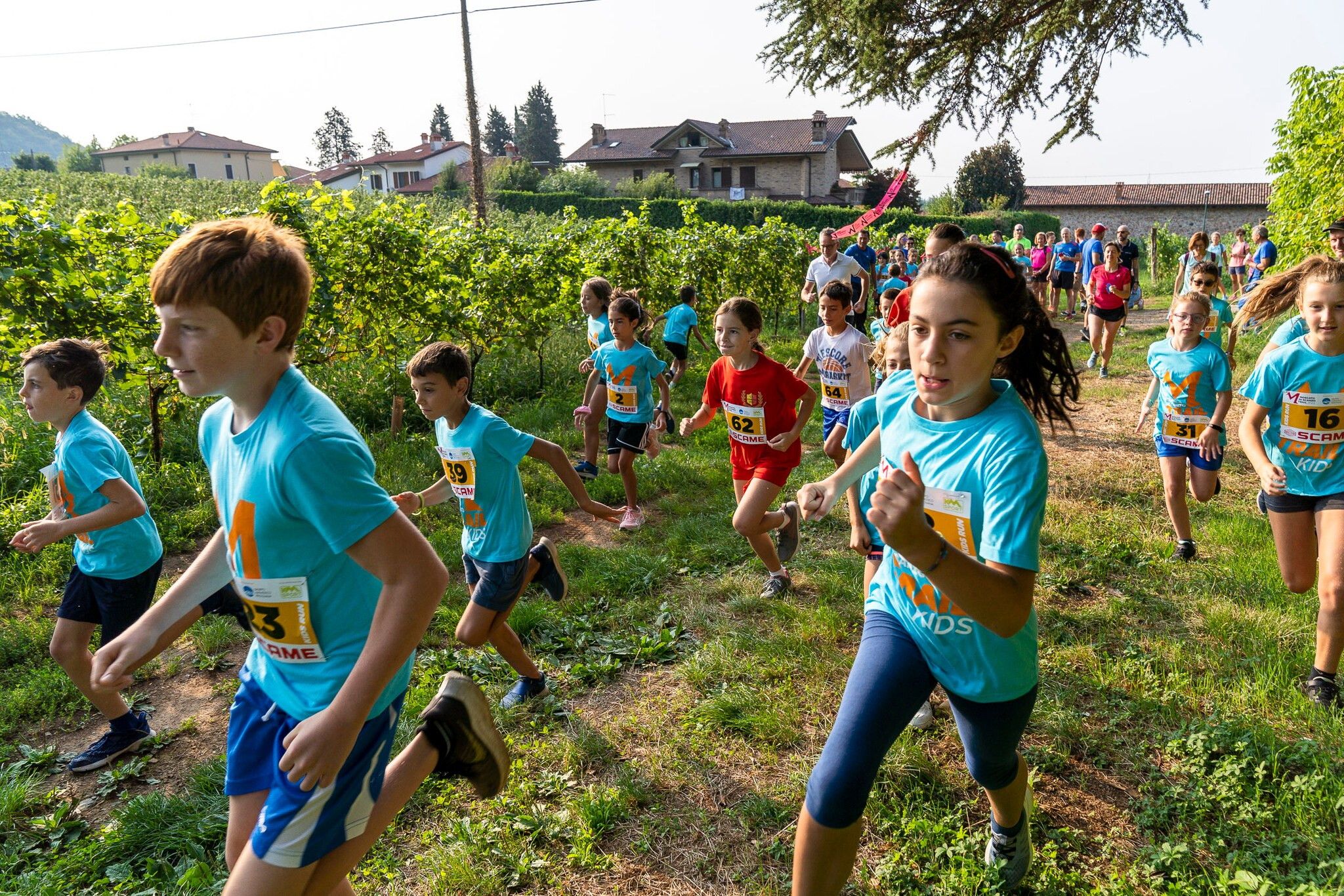 © Moscato di Scanzo Trail