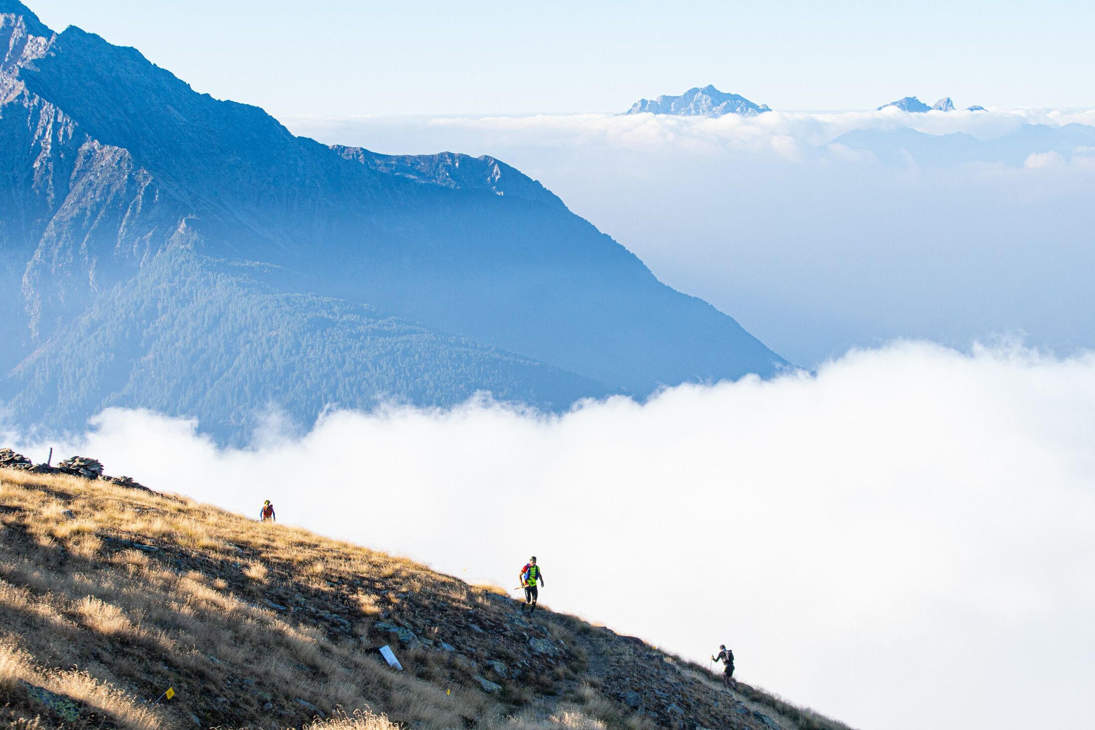 © Giacomo Meneghello