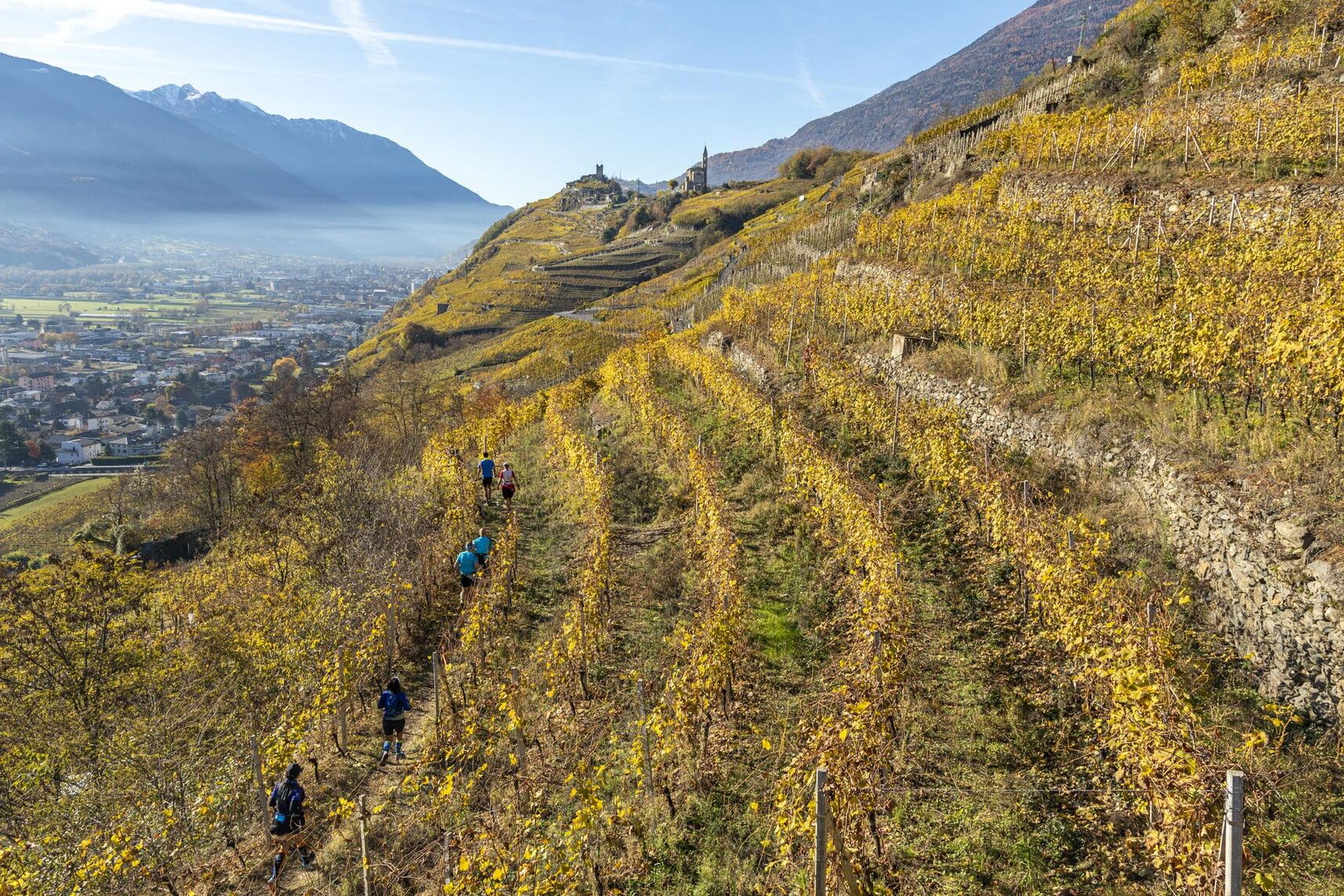 © Valtellina Wine Trail Press Office