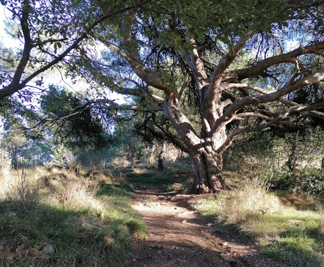© Trail del Ciapà/Dianese Outdoor