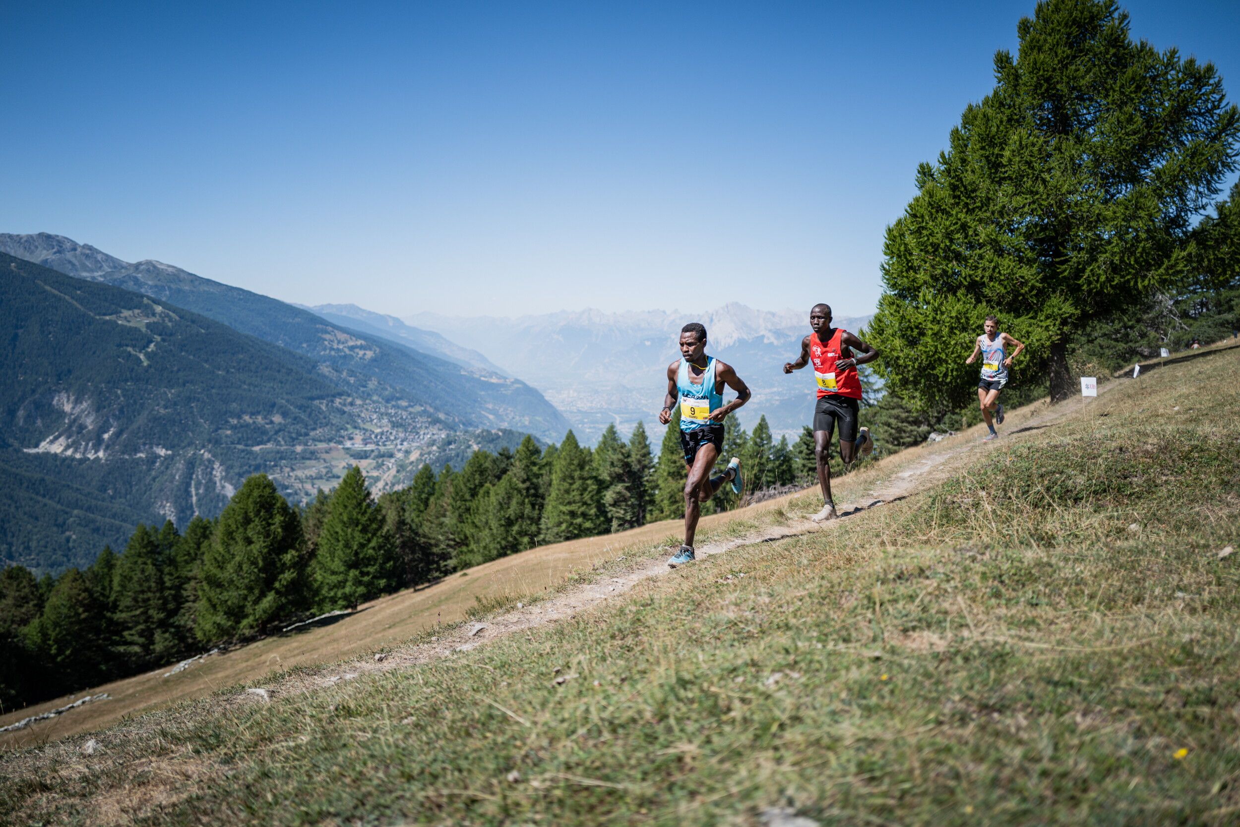 © @GoldenTrailSeries/Sierre-Zinal/PhilippReiter