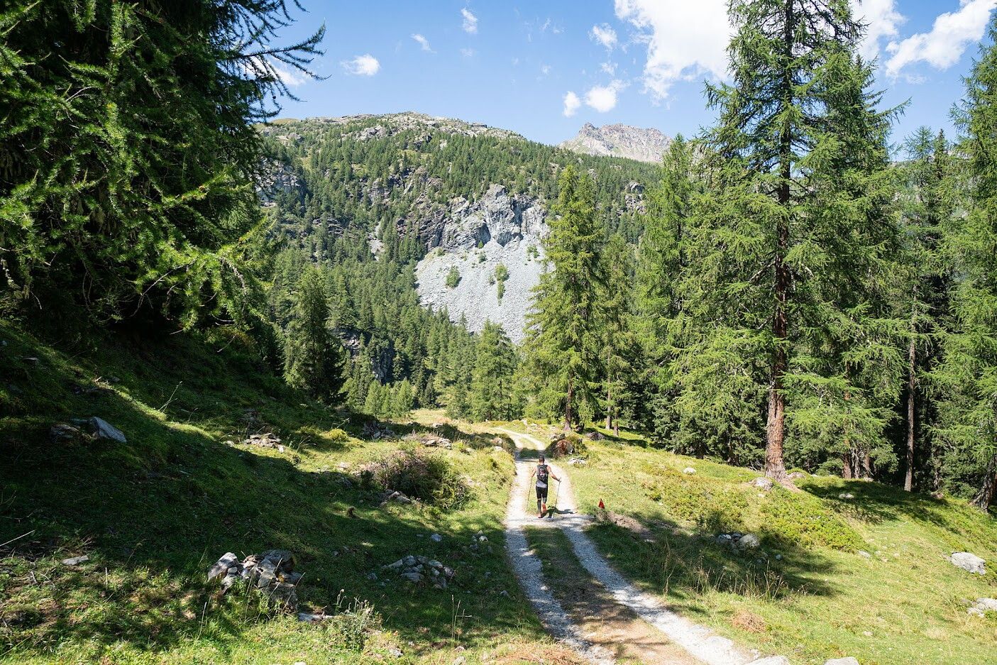 © Giacomo Meneghello