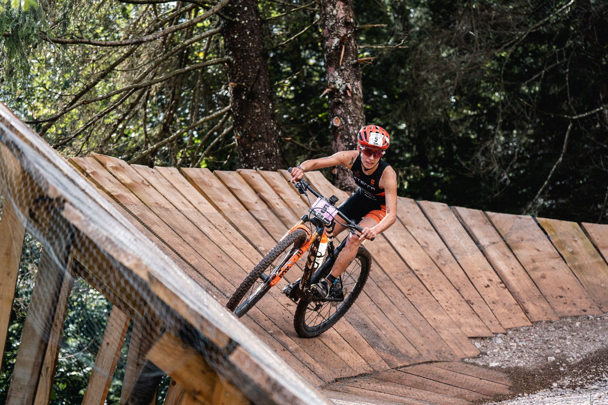 © Carel Du Plessis