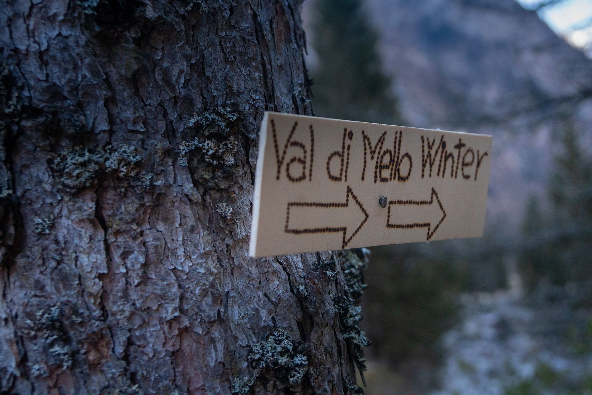 © Giacomo Meneghello