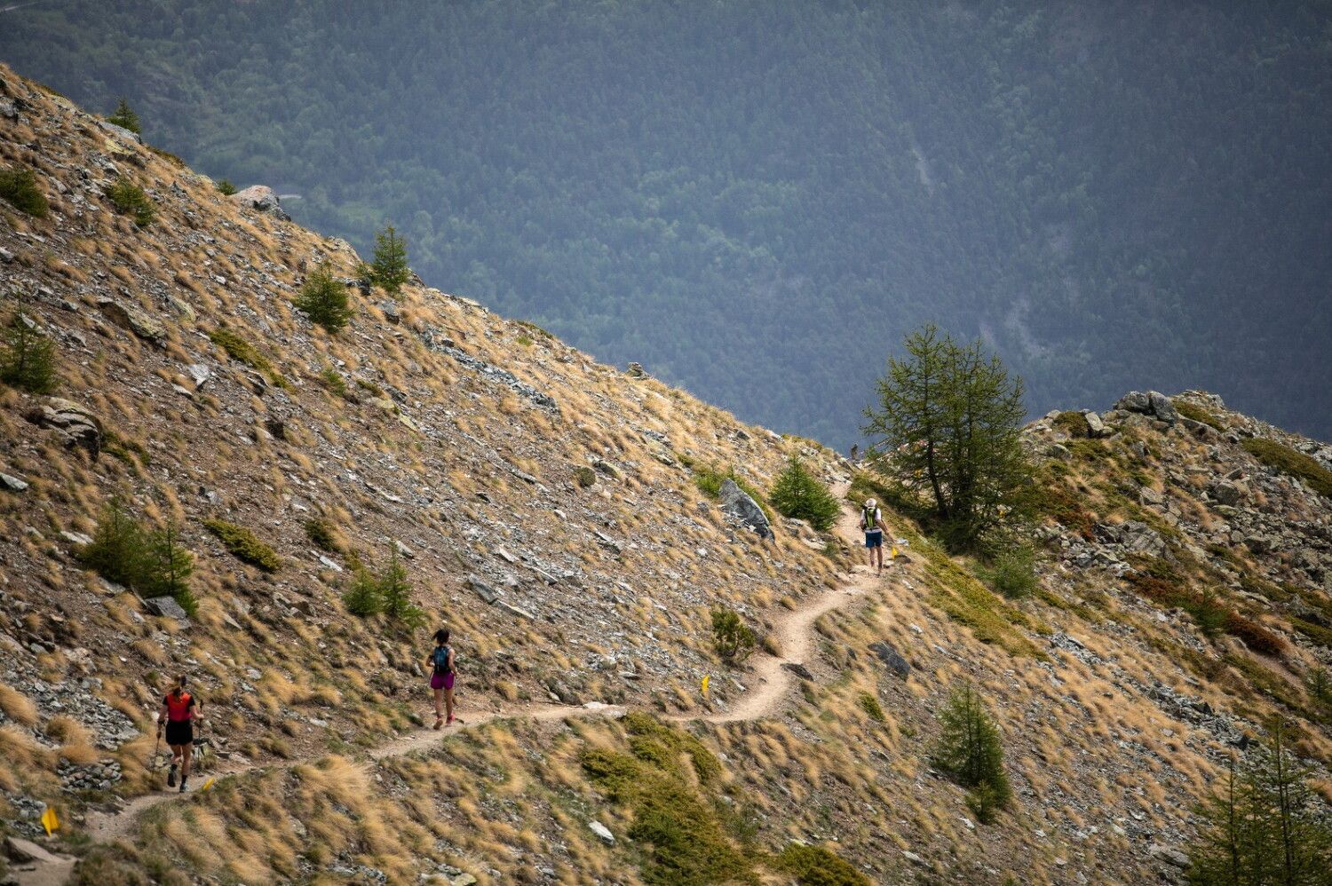 © Tour Trail Valle d'Aosta