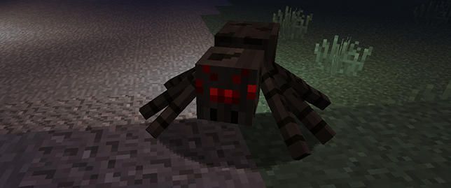 © ign
