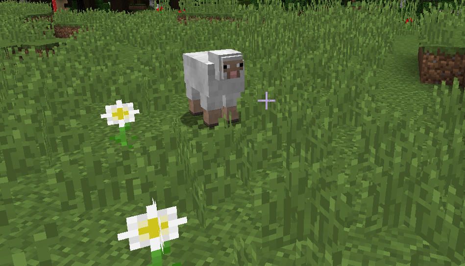 © ign