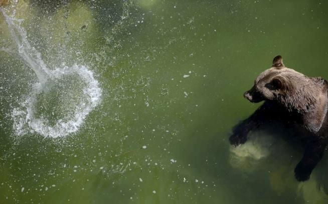 © -afp 