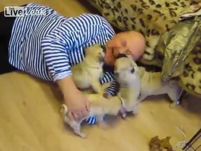 © da-video