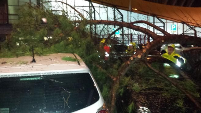 © lettori-tgcom  |  Auto bloccate sotto gli alberi caduti a Bogliasco, nel genovese. Foto di Mario Panzini