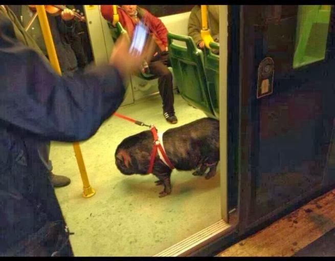 © twitter 