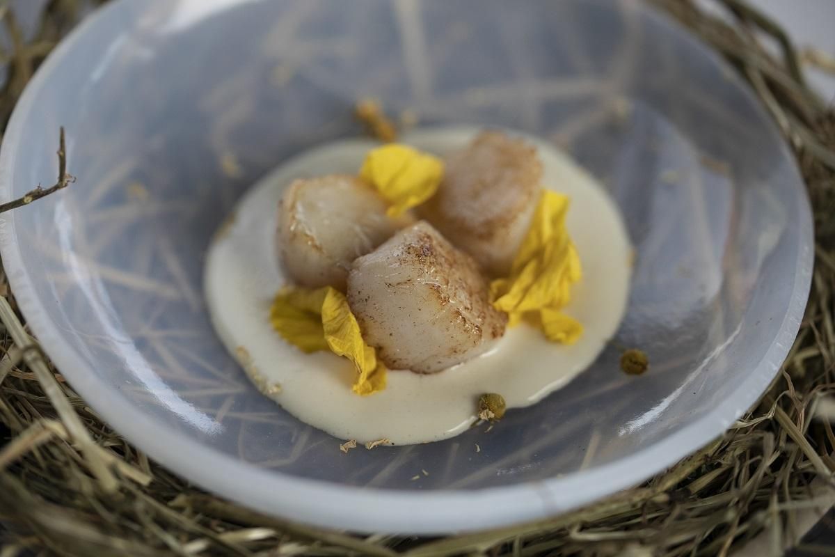 © ufficio-stampa  | Chef Aurora Mazzucchelli 