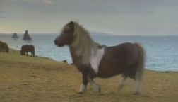 © Dalet
