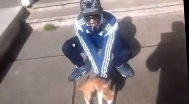 © da-video 
