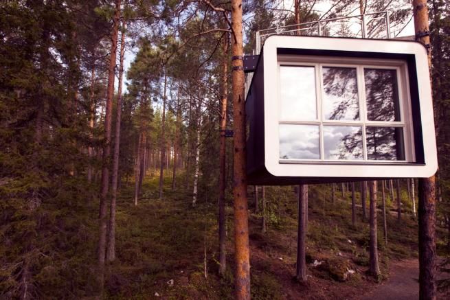 © ente-del-turismo  | 
      Tree hotel 
   