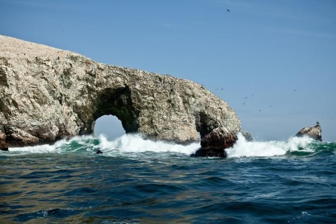 © ente-del-turismo  | Riserva naturale di Paracas, in Perù