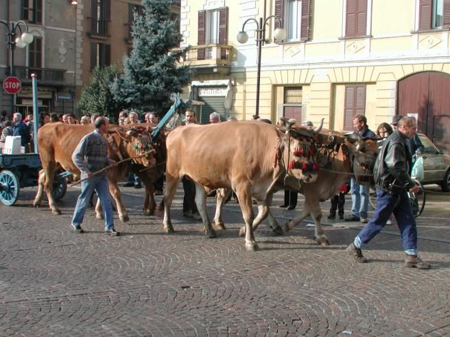 © ufficio-stampa  | 
      Il castello di Abbiategrasso

   
