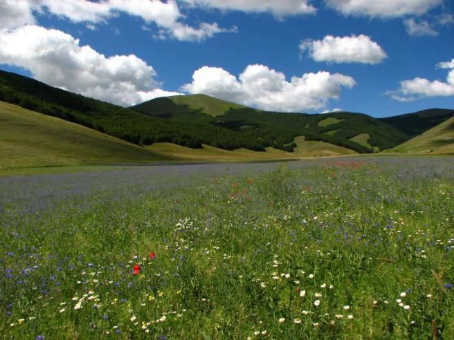 © ufficio-stampa  | L'immagine vincitrice del 2010 scattata da Giovanni Dala - Parco Nazionale dei monti Sibillini (Marche - Umbria)