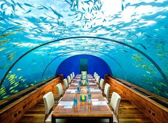 © ufficio-stampa | Ithaa (Maldive) - Ipnotico, il ristorante Ithaa è costruito sotto il mare cristallino delle Maldive e offre un’ambientazione da favola. Niente di più spettacolare.

