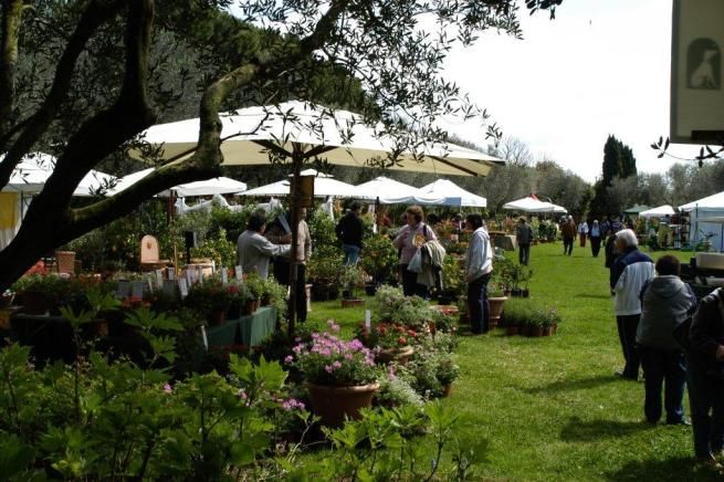 © ufficio-stampa  | 
      I Giardini di Castel Trauttmansdorff a Merano
   