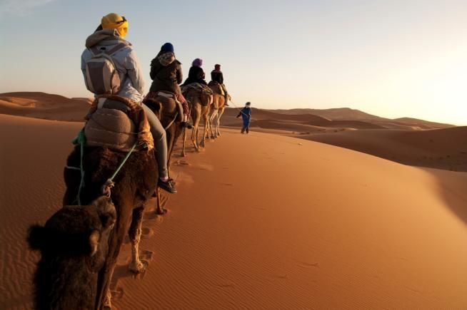 © ufficio-stampa  | La partenza della corsa dei dromedari al festival dei nomadi in Marocco