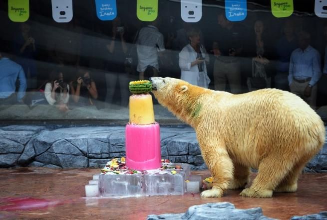 © -afp  | 
   