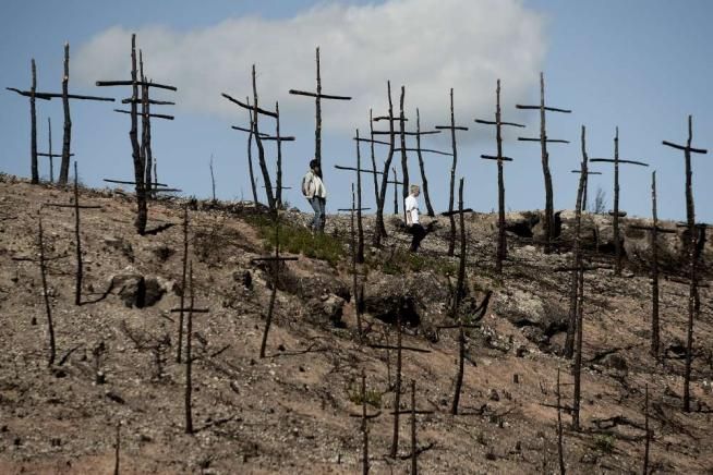 © -afp  | 
   