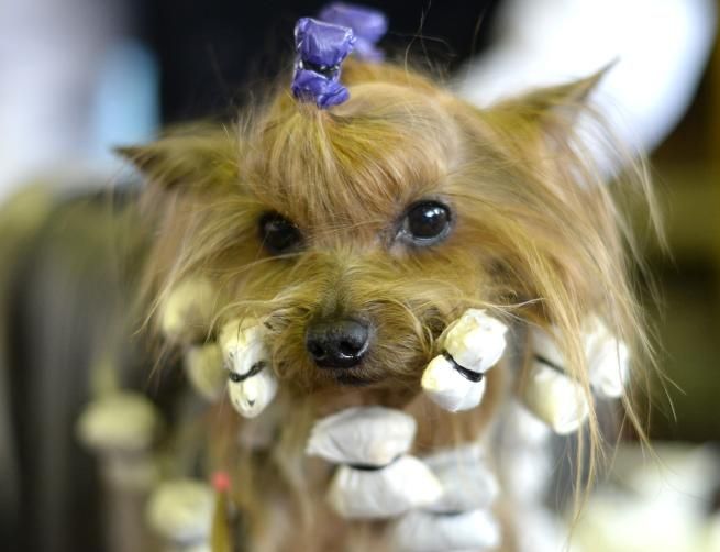 © -afp 