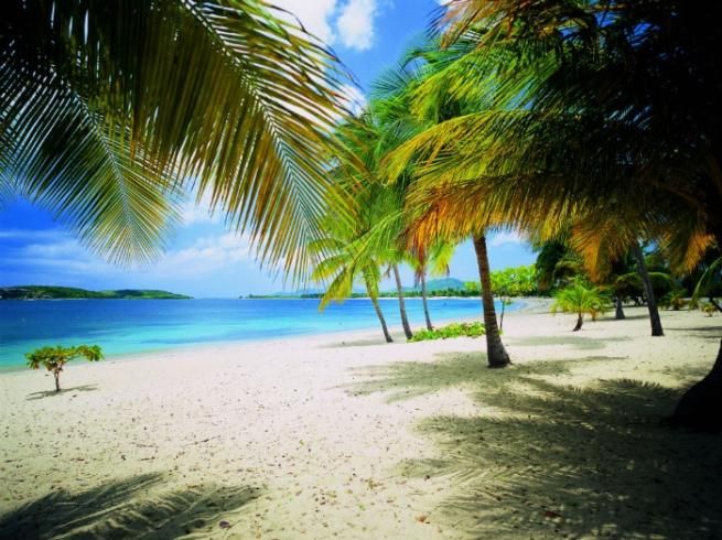 © Ente del Turismo| Puerto Rico, Sun Bay a Vieques 