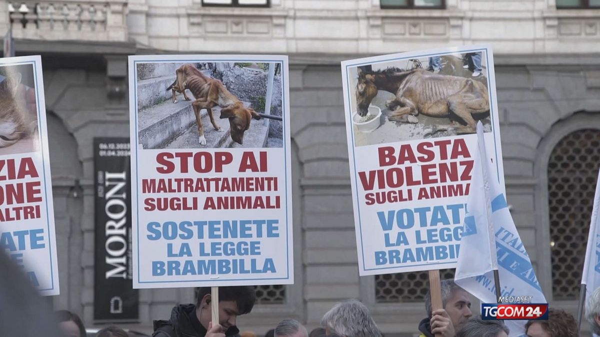 12.10 LEGGE BRAMBILLA SRV