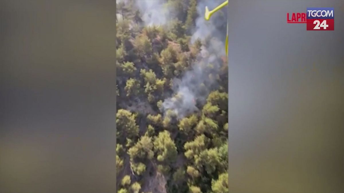 Turchia, devastanti incendi a Smirne e Manisa: oltre 50mila evacuati