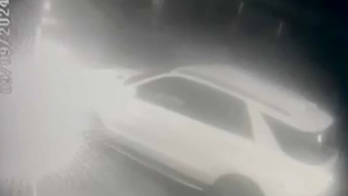 viareggio suv