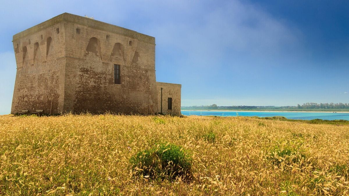  Oasi di Torre Guaceto: la torre Saracena